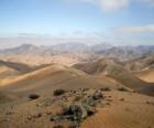 Пустыня Атакама в Чили